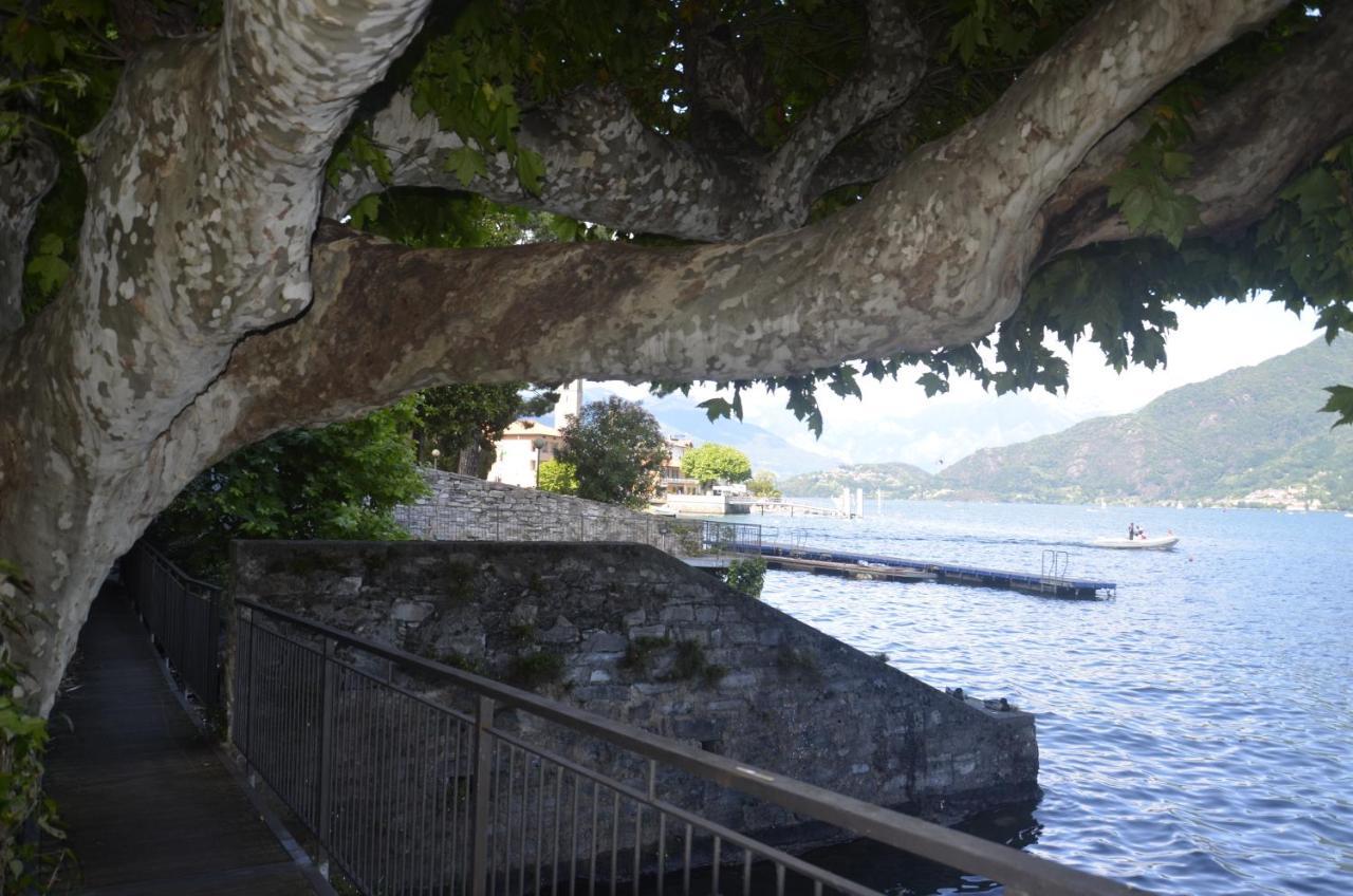 Anma Cottages The Secret Garden Pianello Del Lario المظهر الخارجي الصورة