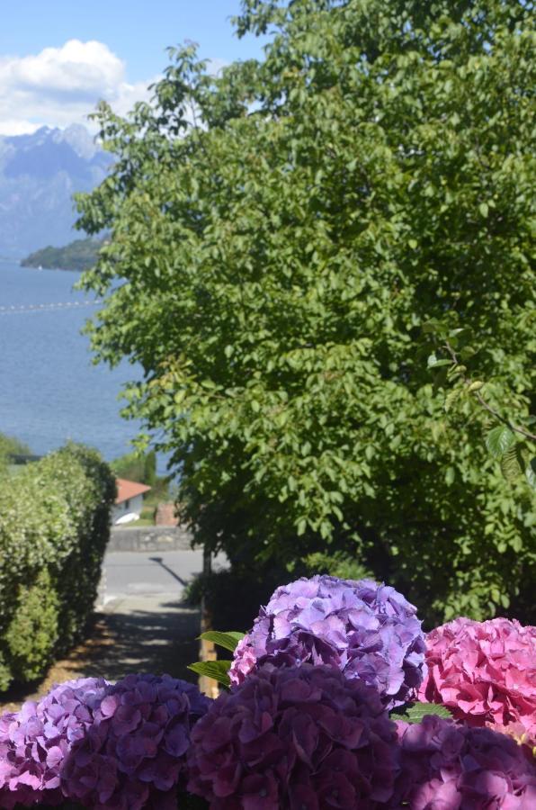 Anma Cottages The Secret Garden Pianello Del Lario المظهر الخارجي الصورة