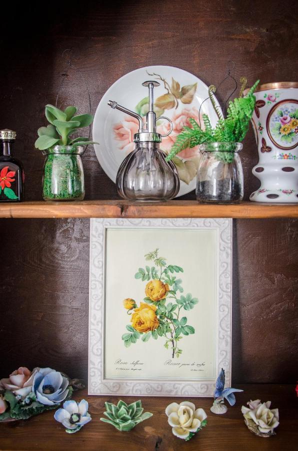 Anma Cottages The Secret Garden Pianello Del Lario المظهر الخارجي الصورة