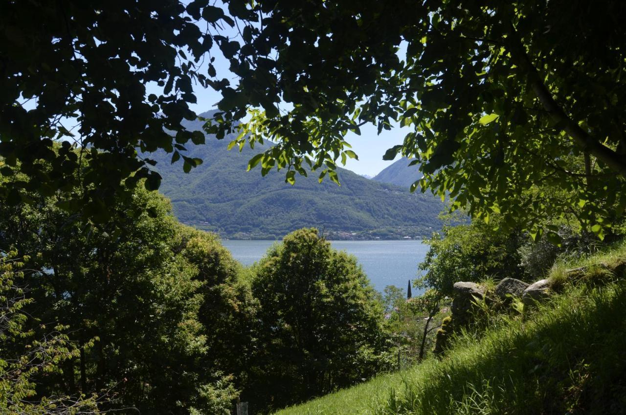 Anma Cottages The Secret Garden Pianello Del Lario المظهر الخارجي الصورة
